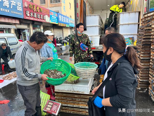 鼓眼鱼35，红头鱼7块，国庆假期青岛码头海鲜肥美价廉，居家必备