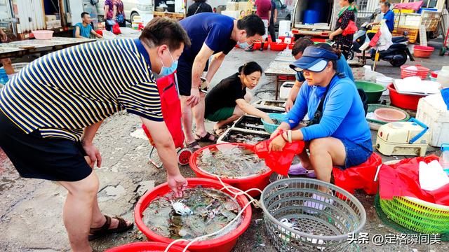 批发价25零售50，南方梭子蟹登陆青岛，市民：螃蟹自由的日子来啦