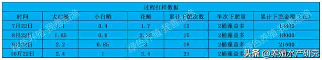 他是怎么做到200亩水库产出花白鲢187815斤？