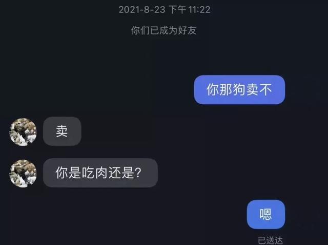 百万粉丝网红被扒皮：偷狗卖狗半年骗打赏1600w