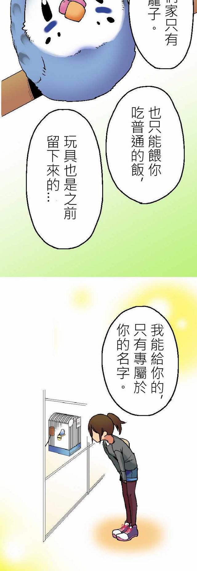 漫画：小鹦鹉饲养日记（第一话）