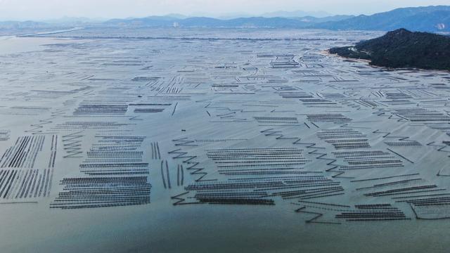 （社会）广东饶平：水产养殖谱写现代“海洋牧歌”