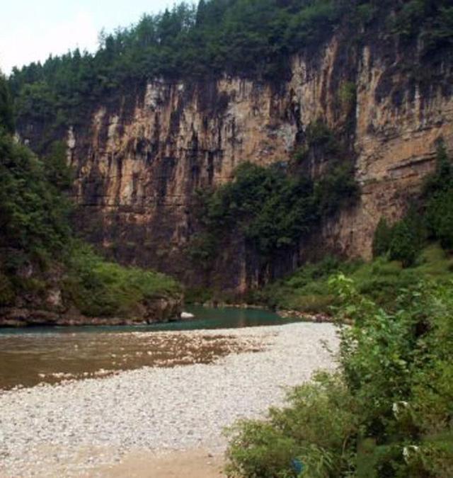 高山溪流中“吹弹即破”的冷水鱼，至今也不知道它的学名