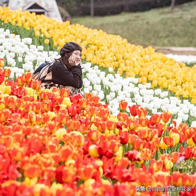 重庆长寿湖：花开迎春来