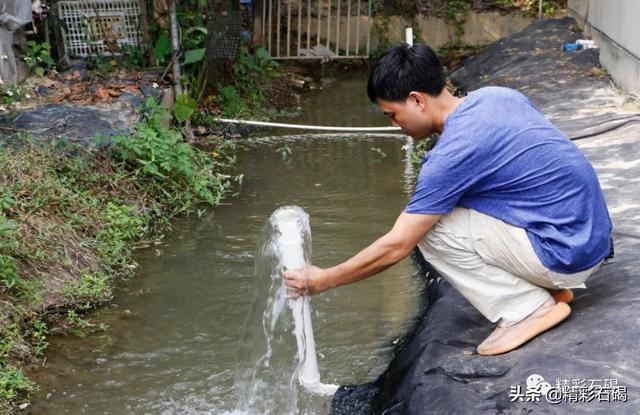 石碣这个基地探索“水箱养鱼”，提高养殖率实现高产出！