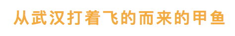 这家只做一道菜的店，凭什么火了12年？