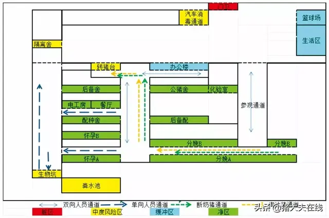 猪场内外六大运动路线，防非必读