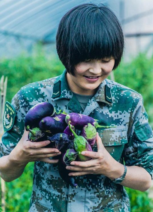 零下40度高原能种菜，30天采摘食用，再也不担心兵哥哥没饭吃