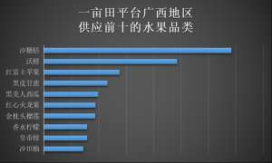 砂糖橘种植地区(种植面积2028万亩产量312113万吨，它是当之无愧的水果王国)