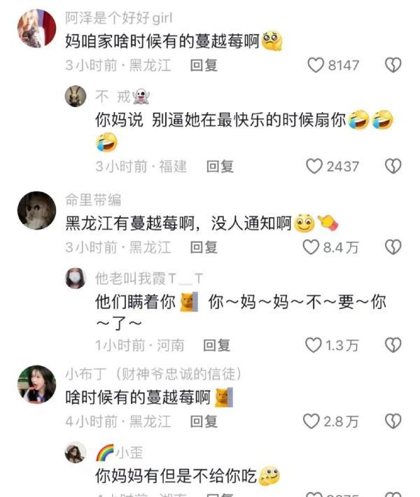 “老铁”的回礼亮了！东北啥时候开始种蔓越莓了？