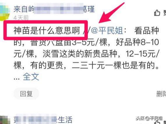 平民姐草莓种植(3) 新手为何总绕不过“神苗”？草莓苗这样选购