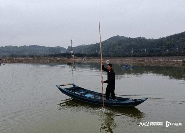 国泰水产联农带农：陆丰90后渔民养海鲈鱼每亩利润翻了5倍