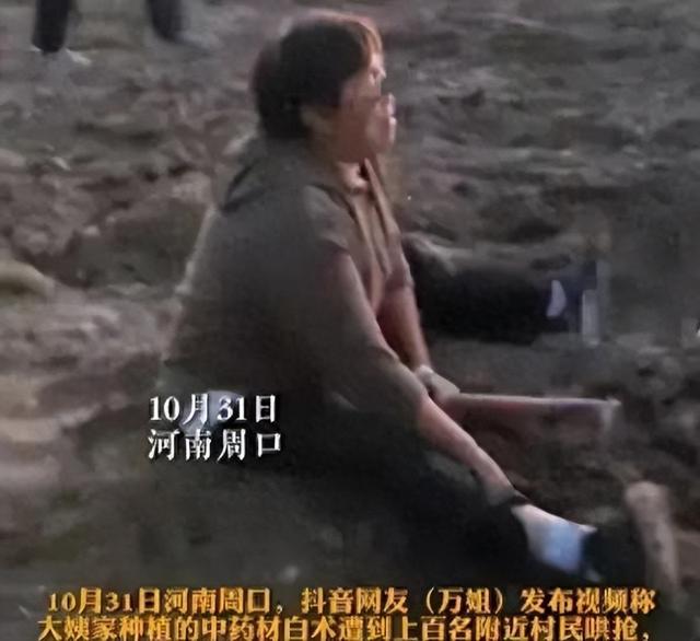 河南的爱心种植园被哄抢，当地百姓该不该背这个锅？