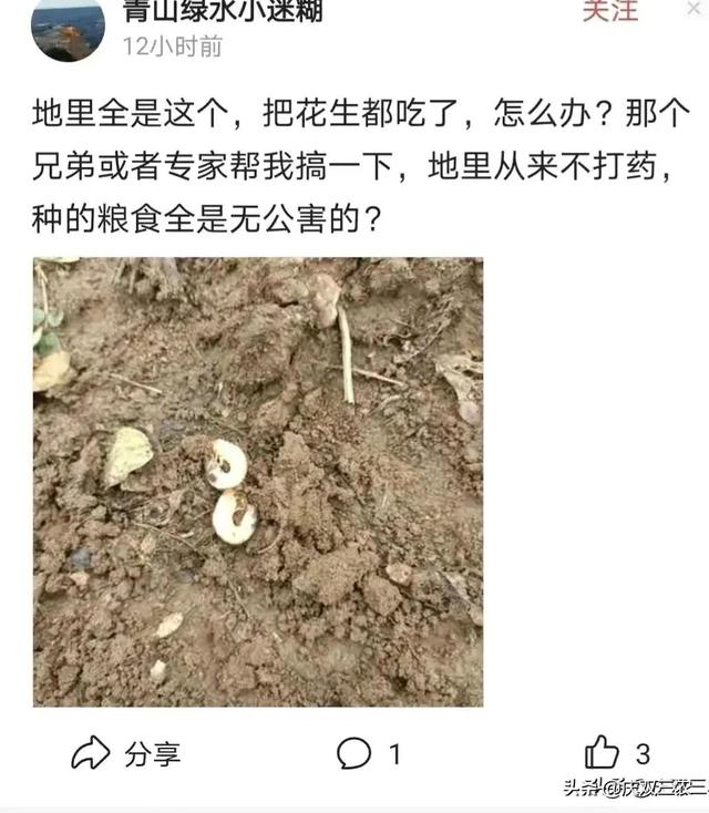 借生态种植贬低现代农业技术是农业的进步？还是农业的倒退？