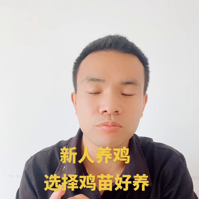 新人养鸡，选择鸡苗还是半大鸡呢 怎么才能进入养殖业呢