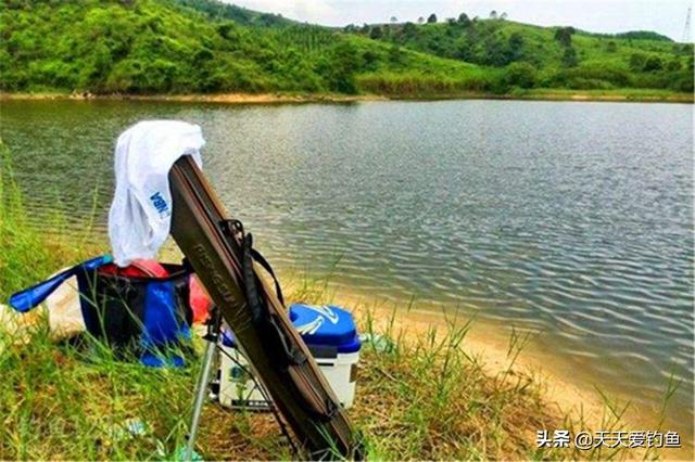 惊蛰之后开始钓浅滩，这些天气最适合浅水钓大鱼，遇上了赶紧出钓