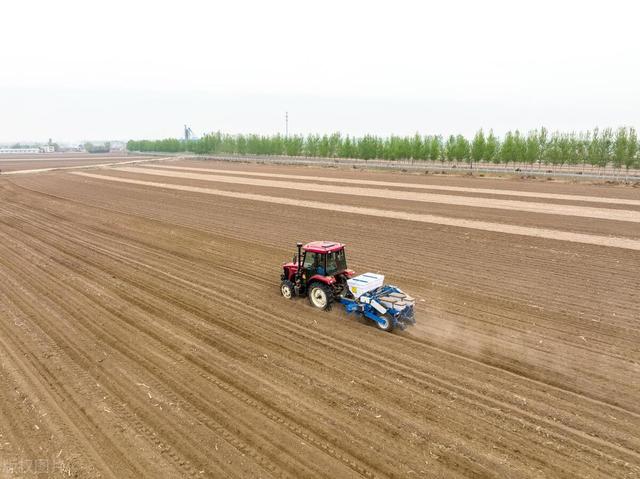 真荒诞，水泥地上种田伤农、伤田、伤财，难道没人管？