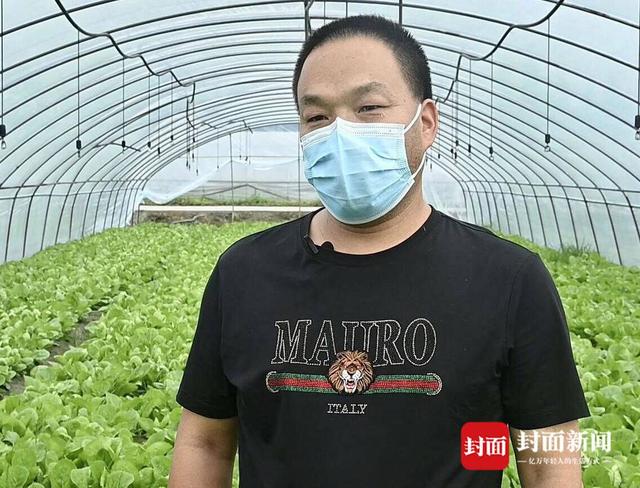 探访成都最大叶菜种植基地：保障“餐桌民生”日产超50万斤80%供应成都本地「齐心战疫 成都得行」