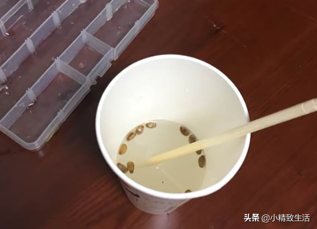 简单7步，在阳台种小葫芦，一盆结十几个，随便盘