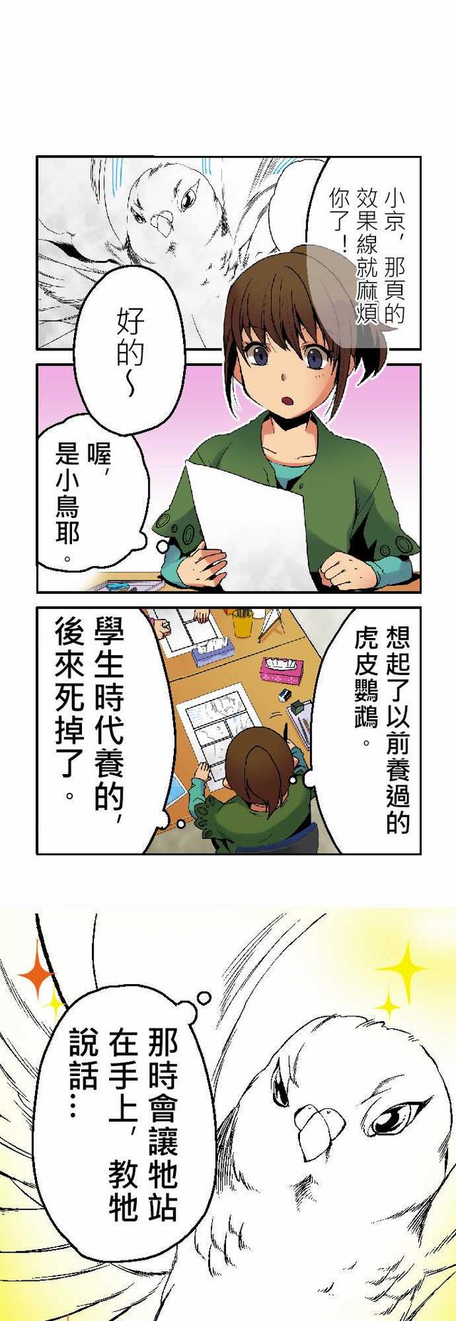 漫画：小鹦鹉饲养日记（第一话）