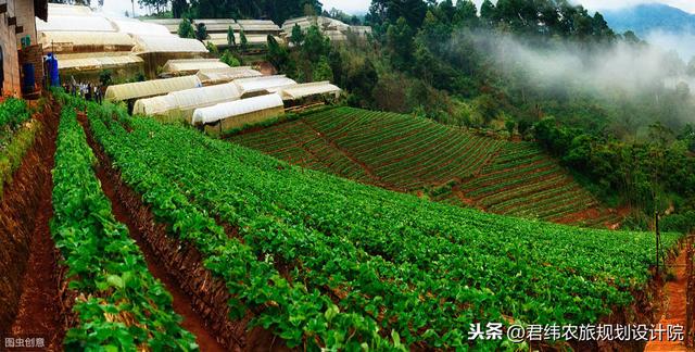 生态农业旅游休闲观光种植园项目可行性报告