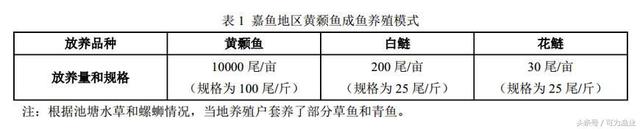 嘉鱼地区黄颡鱼养殖模式和养殖形势展望