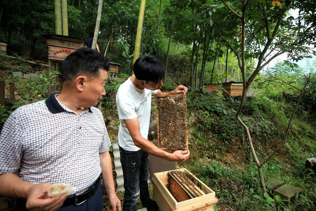 福建省邵武市：野熊家庭农场积极创建蜜蜂养殖标准示范场