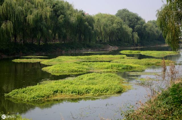 龙虾养殖适合多大水池？水温在多少度、水位在多深，怎么消毒？