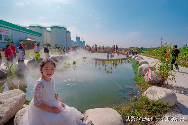 免费，西安爱菊第二届菊花节超详细攻略，溜娃研学拍照游玩涨知识