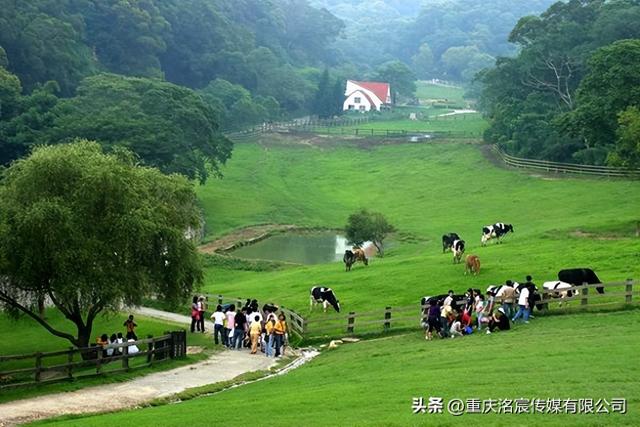 林下养殖和认养农业的优势主要体现在哪些方面