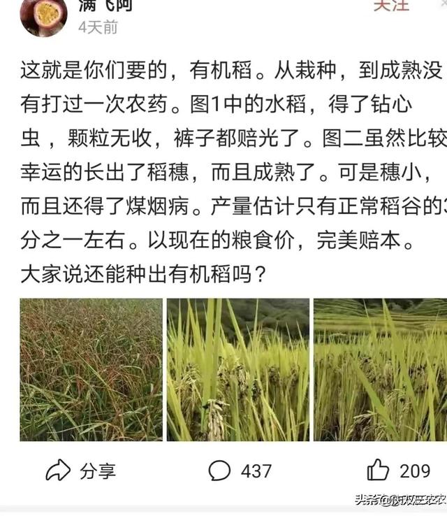 借生态种植贬低现代农业技术是农业的进步？还是农业的倒退？