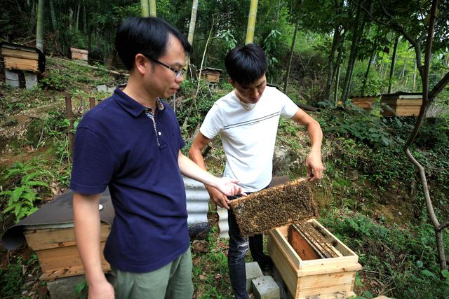 福建省邵武市：野熊家庭农场积极创建蜜蜂养殖标准示范场