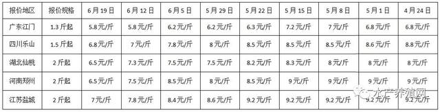 这里的鮰鱼连续9周降价，养殖户压力越来越大！鱼价仍在成本线上，熬到国庆还能反弹？