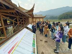 宜宾县大鹏鸭养殖(看宜路精彩丨山上看风景 山下看产业)