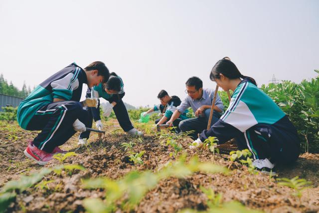 宁波东钱湖旅游学校开辟“中草药基地”探索中医药文化进校园