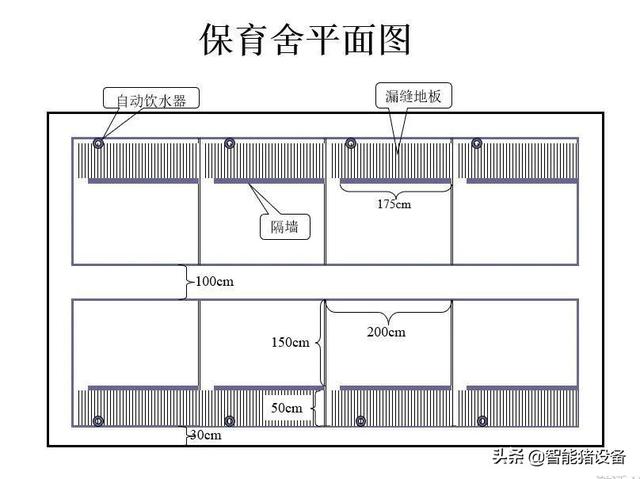 「管理」200头能繁母猪养猪场的总体设计规划方案