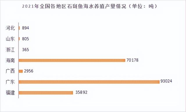 石斑鱼年产量已破20万吨！2023年，你对这条鱼的信心有多大？