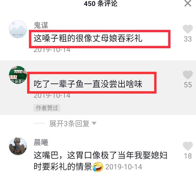 1只鸬鹚1天能捕20斤鱼？一起探秘鸬鹚捕鱼的那些事儿！