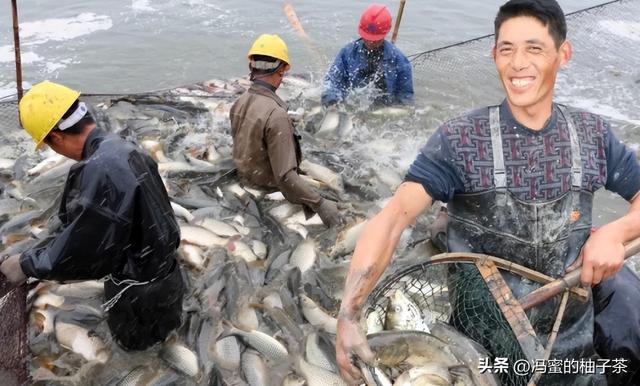 浙江渔业目前存在的资源过剩与管理问题，专家：这亟待解决