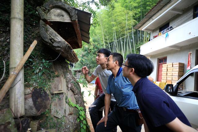 福建省邵武市：野熊家庭农场积极创建蜜蜂养殖标准示范场