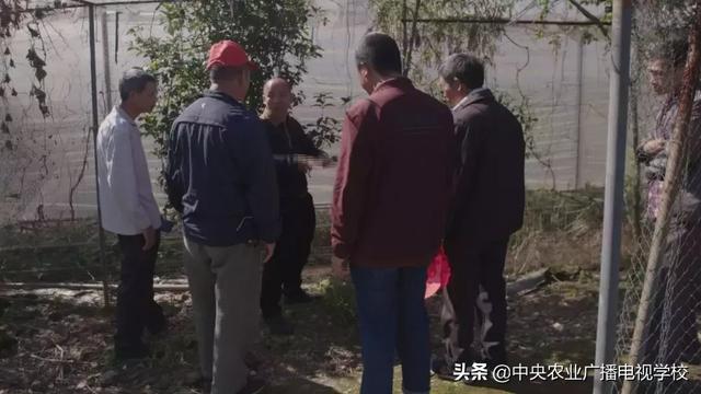 【农广天地】高颜值的贵妃鸡，老搭档养出新门道