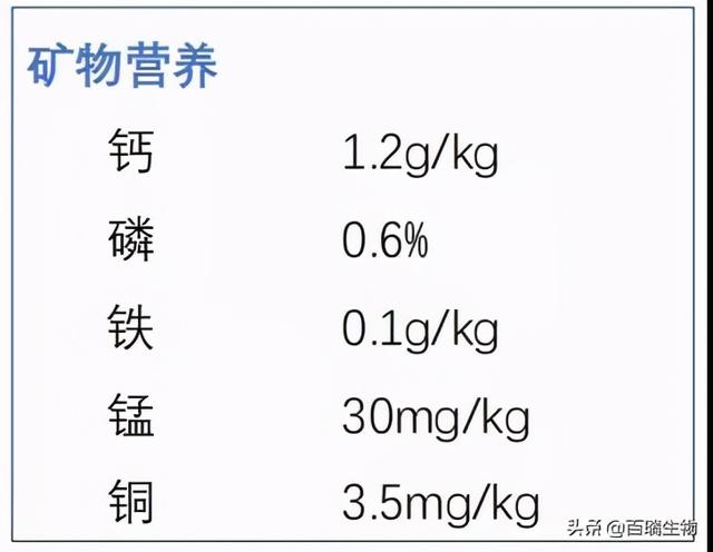 给你一套冬季花鲢增产方案，赶快收藏吧