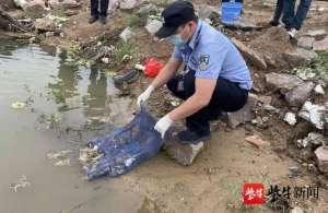 连云港青蛙养殖基地(三男子非法捕捉211只野生青蛙获刑 检察官提醒：非法狩猎野生动物20只以上的涉嫌