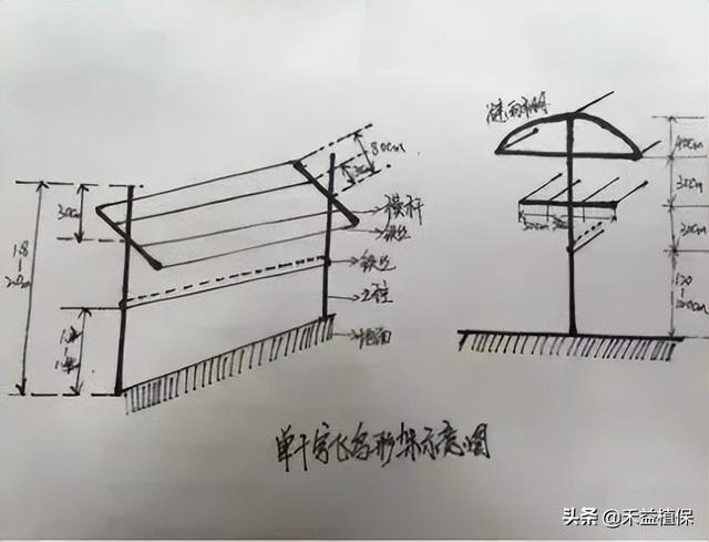 哪种葡萄架式最好、产量最高、最好管理？推荐这五种