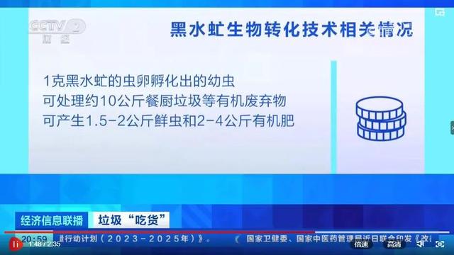 央视：垃圾“吃货” 黑水虻项目陆续上马， “吃不饱”问题仍待解决