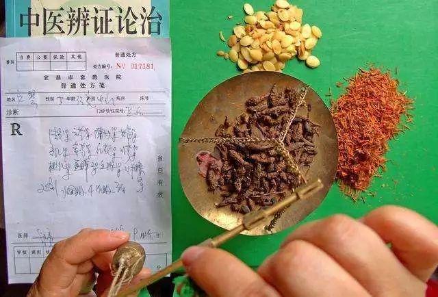 她给鸡喂中草药，售价翻三倍，年销售额超千万