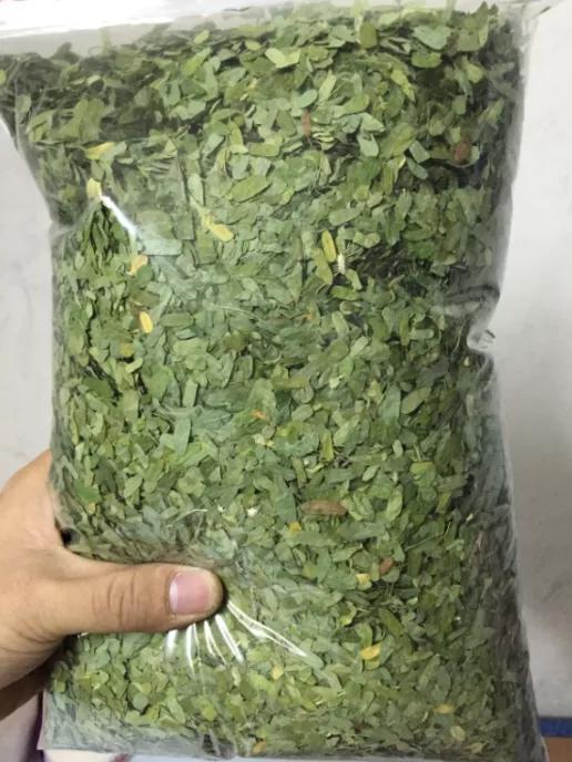 俗称“鸡骨草”，种子虽有毒性，却是煲汤佳品，有认识的吗？