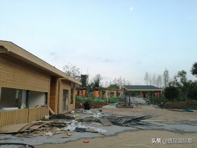 河南首家松鼠部落位于郑州新田城，即将竣工营业，最新进展抢先看