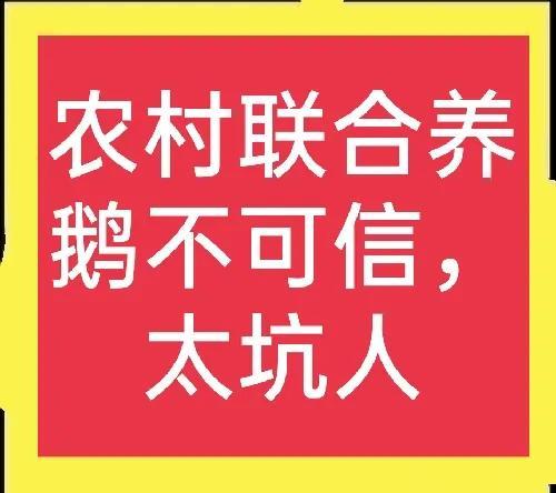 联合养鹅不可信，套路非常多，已有多人上当