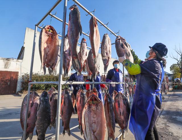 “青鱼之乡”新年迎丰收 特色养殖业助力共富